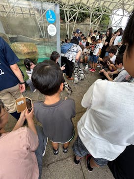 城崎マリンワールドに投稿された画像（2025/8/13）