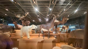 国立科学博物館に投稿された画像（2025/8/13）