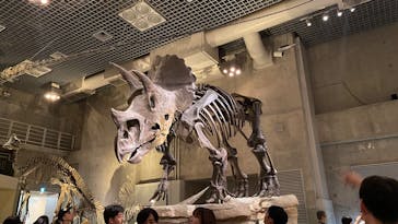 国立科学博物館に投稿された画像（2025/8/13）