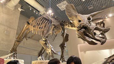 国立科学博物館に投稿された画像（2025/8/13）