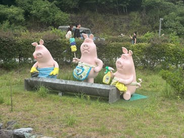 EnglishGardenローザンベリー多和田に投稿された画像（2025/8/13）