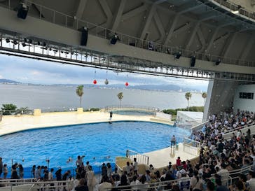 マリンワールド海の中道に投稿された画像（2025/8/13）