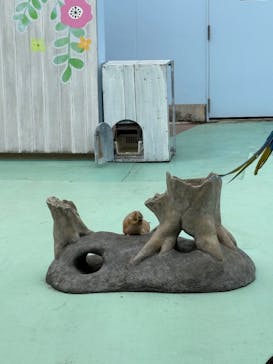 横浜・八景島シーパラダイス　プレジャーランドに投稿された画像（2025/8/13）