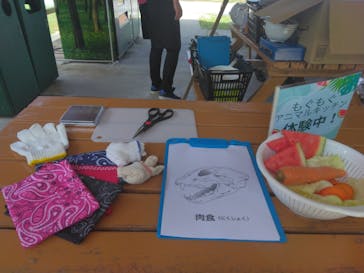 那須どうぶつ王国に投稿された画像（2025/8/13）