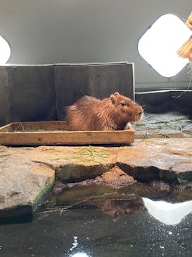 NIFREL（ニフレル）に投稿された画像（2025/8/13）