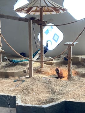 NIFREL（ニフレル）に投稿された画像（2025/8/13）