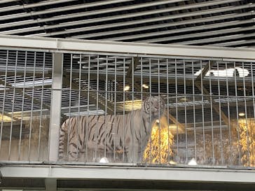 NIFREL（ニフレル）に投稿された画像（2025/8/13）