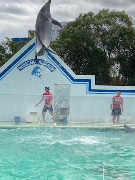 しながわ水族館に投稿された画像（2025/8/13）