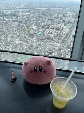 東京スカイツリーに投稿された画像（2025/8/13）