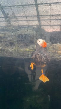 環境水族館アクアマリンふくしまに投稿された画像（2025/8/13）