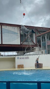 伊豆・三津シーパラダイスに投稿された画像（2025/8/13）