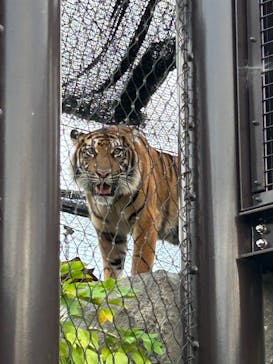 名古屋市東山動植物園に投稿された画像（2025/8/13）