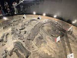 福井県立恐竜博物館に投稿された画像（2025/8/13）