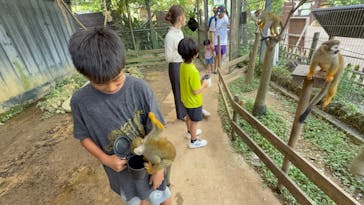 美らヤシパークオキナワ・東南植物楽園に投稿された画像（2025/8/13）