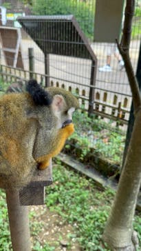 美らヤシパークオキナワ・東南植物楽園に投稿された画像（2025/8/13）