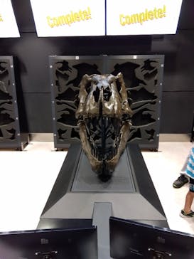 福井県立恐竜博物館に投稿された画像（2025/8/13）