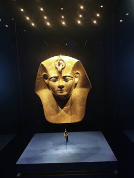 ACN ラムセス大王展 ファラオたちの黄金に投稿された画像（2025/8/13）