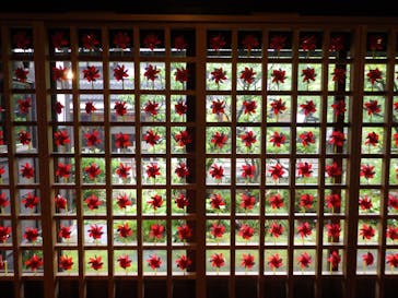 加賀 伝統工芸村　ゆのくにの森に投稿された画像（2025/8/13）