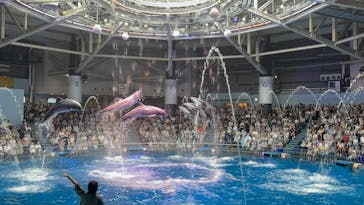 マクセル アクアパーク品川に投稿された画像（2025/8/13）