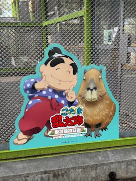 東武動物公園に投稿された画像（2025/8/13）