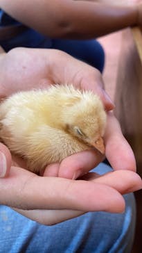東武動物公園に投稿された画像（2025/8/13）