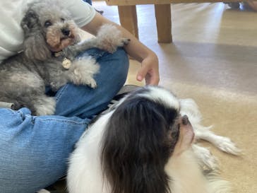 東武動物公園に投稿された画像（2025/8/13）