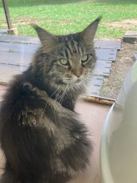 東武動物公園に投稿された画像（2025/8/13）