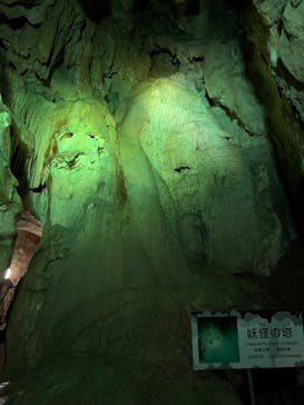 あぶくま洞に投稿された画像（2025/8/13）