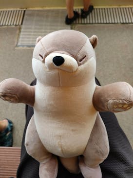 新江ノ島水族館に投稿された画像（2025/8/13）