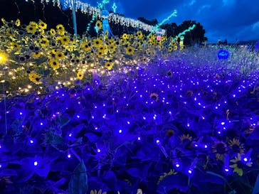 せんだい農業園芸センター　みどりの杜に投稿された画像（2025/8/13）