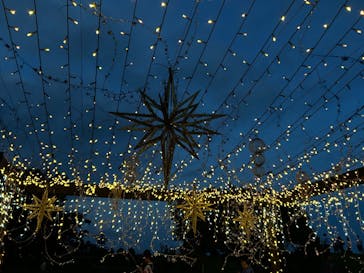 せんだい農業園芸センター　みどりの杜に投稿された画像（2025/8/13）