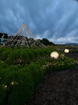 せんだい農業園芸センター　みどりの杜に投稿された画像（2025/8/13）