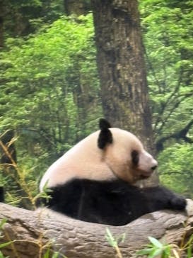 恩賜上野動物園に投稿された画像（2025/8/13）