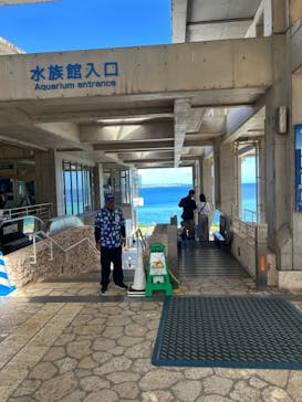 沖縄美ら海水族館に投稿された画像（2025/8/13）