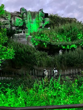 サンシャイン水族館に投稿された画像（2025/8/13）