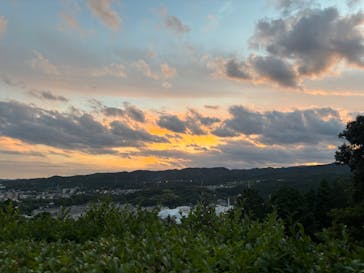 日立市かみね動物園に投稿された画像（2025/8/13）