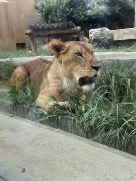 東武動物公園に投稿された画像（2025/8/13）