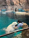 名古屋港水族館に投稿された画像（2025/8/13）