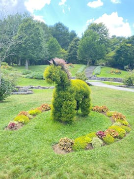 ノーザンホースパークに投稿された画像（2025/8/13）