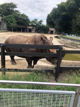 東武動物公園に投稿された画像（2025/8/13）