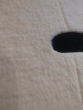 ちいかわパークに投稿された画像（2025/8/13）