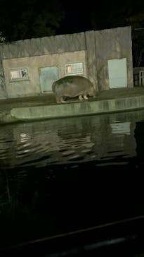 日立市かみね動物園に投稿された画像（2025/8/13）