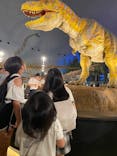 福井県立恐竜博物館に投稿された画像（2025/8/13）