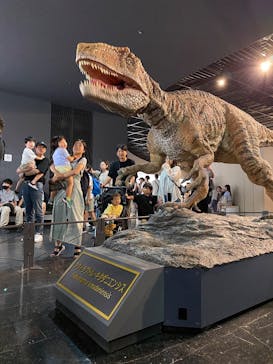 福井県立恐竜博物館に投稿された画像（2025/8/13）