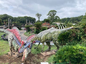 伊豆ぐらんぱる公園に投稿された画像（2025/8/13）