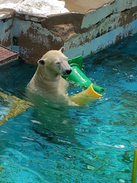 天王寺動物園に投稿された画像（2025/8/13）