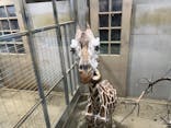 日立市かみね動物園に投稿された画像（2025/8/13）