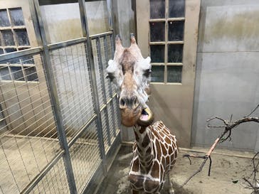 日立市かみね動物園に投稿された画像（2025/8/13）