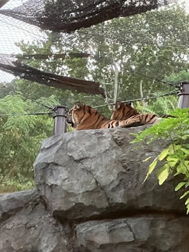 名古屋市東山動植物園に投稿された画像（2025/8/13）