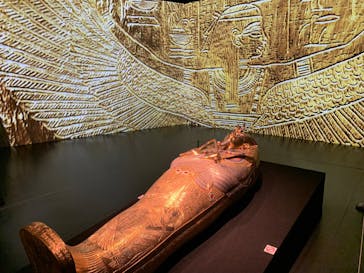 MYSTERY OF TUTANKHAMEN 体感型古代エジプト展に投稿された画像（2025/8/13）